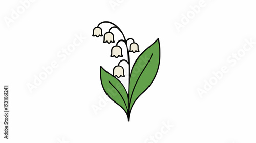 Delicate Lily Of The Valley Flower With Green Leaves And White Bell Shaped Blossoms On A Simple White Background Isolated Botanical Illustration