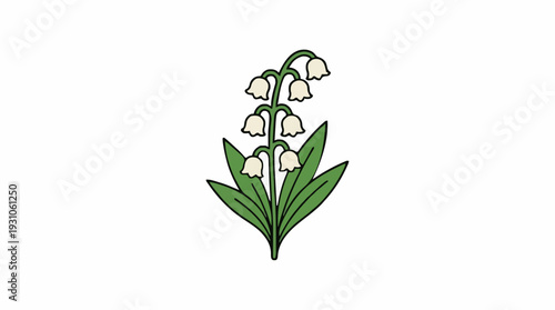 Delicate Lily of the Valley plant with white bell-shaped flowers and green leaves against a clean white background symbolizing purity and spring
