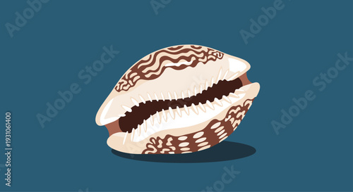 Beautifully detailed illustration of a natural cowrie seashell with intricate brown patterns on a blue background.
