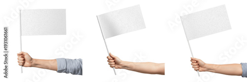 Fotografie Set and collection of human hands holding small blank white flags for protest, p