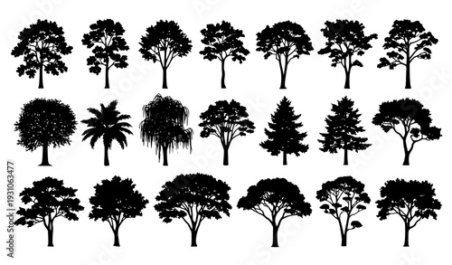 Realistic Tree Silhouette Vector Collection Forest Botanical Black Shapes Isolated on White Background
