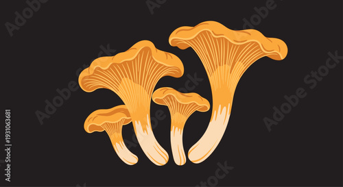 Cluster of vibrant orange chanterelle mushrooms grows together against a dark background, showcasing their unique trumpet shapes.