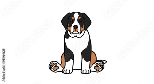 Cute Greater Swiss Mountain Dog Puppy Sitting and Looking Forward
