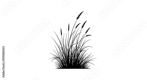 Black Silhouette of Tall Grasses with Seed Heads Swaying in the Wind on White Background