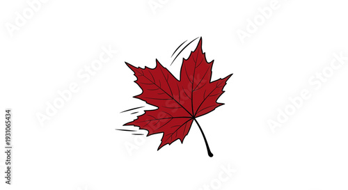 Red Maple Leaf Falling in Wind