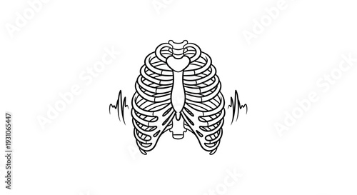 Rib Cage with Heartbeat Line - Medical, Health, Anatomy, Cardiology Concept