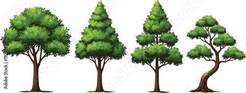 Set of realistic green tree illustrations including deciduous oak and coniferous pine species for architectural visualization landscape design forest environment and nature scenery