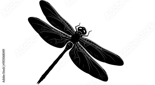 Black Silhouette Dragonfly Insect Wings Isolated White Background