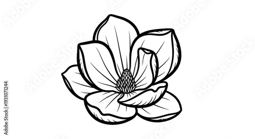Elegant black and white botanical illustration of a blooming magnolia flower design element for
