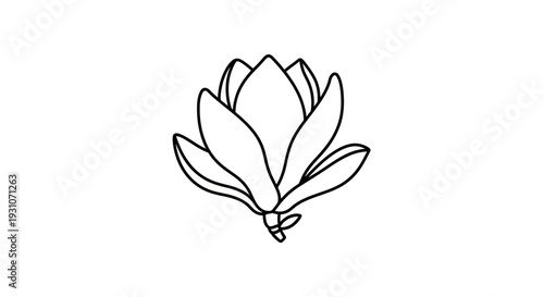 Elegant floral outline illustration of a graceful blooming botanical beauty on a clean background