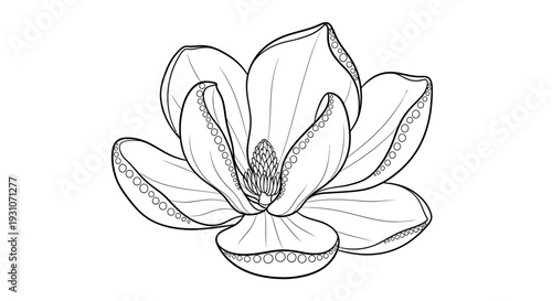 Elegant hand-drawn magnolia blossom line art illustration ready for intricate coloring projects or