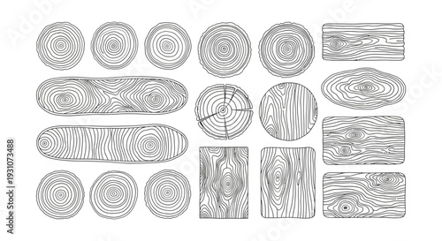 Hand Drawn Wood Texture Line Art Set Tree Ring Patterns and Wood Grains