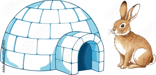 Rabbit and igloo illustration showing animal habitat and shelter concept, clean flat vector artwork representing Arctic environment, wildlife education, and simple nature learning design