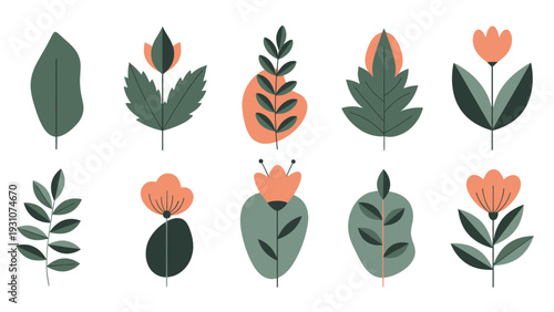 Set of ten stylized botanical illustrations with abstract shapes.