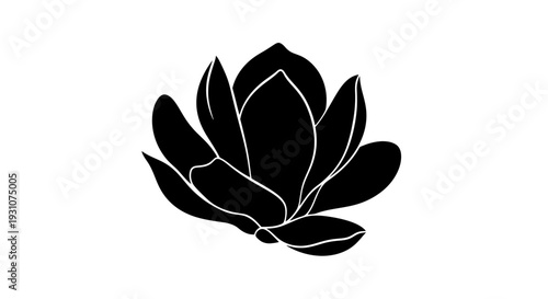 Stylized botanical silhouette with delicate outlines on a pristine white background