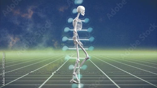 Skeleton walking across grid after animation start, showing rhythmic gait linking to DNA helix