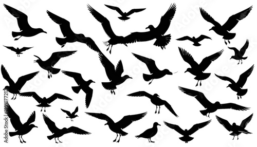 A flock of black birds flying in a cohesive formation against a plain background isolated on transparent background