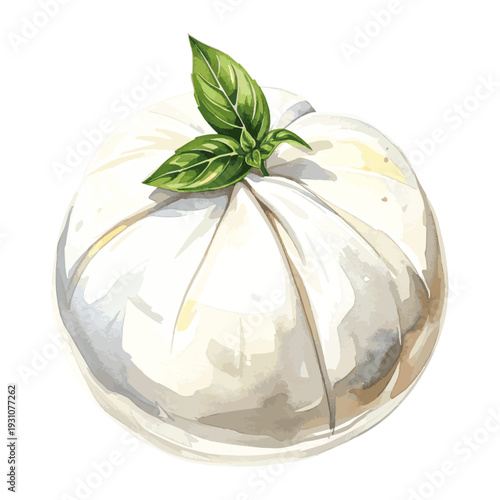 Gourmet Burrata with Fresh Basil Leaves Watercolor Illustration