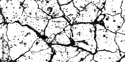 Grunge black and white textured paint background