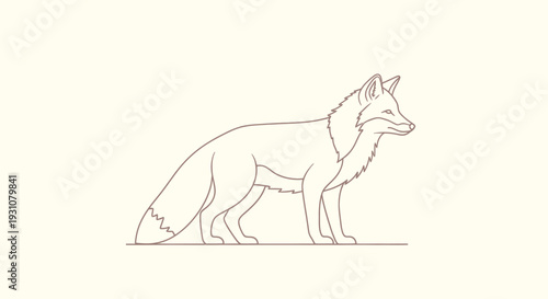 Elegant Minimalist Line Art Illustration of a Standing Fox.