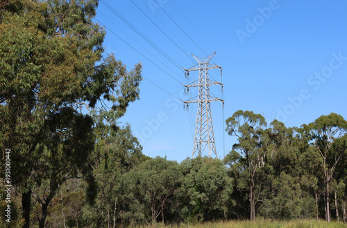 High-voltage transmission tower rising above native Australian eucalyptus bushland under clear blue sky