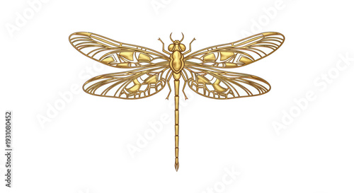 Golden Dragonfly Illustration - Intricate Art Nouveau Insect Design