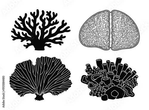 Coral collection vector illustration with brain coral, fan coral, and pipe coral set on a white background