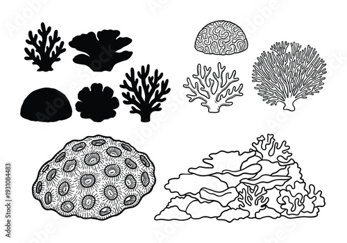 Coral reef line art vector illustration, diverse sea coral shapes, marine life, sea coral design element, and underwater world