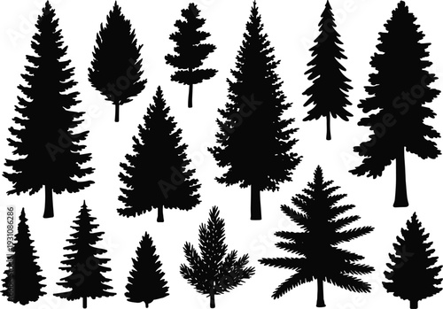WebConiferous tree silhouettes, pine fir spruce shapes, diverse evergreen forest forms, natural woodland, outdoor landscape, eco environment, design element, flat vector illustration