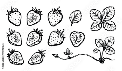 Hand drawn black and white strawberry illustration with leaves and stems, featuring whole and sliced berries
