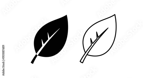 Black and white leaf illustrations side by side comparison Vector