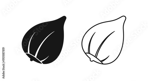 Black and white garlic bulb illustration with outline Vector