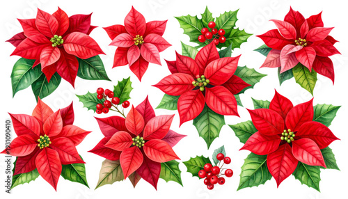 A vibrant collection of red poinsettias arranged in a festive holiday display isolated on transparent background