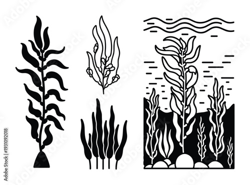 Seaweed set vector illustration with algae, underwater plants and ocean vegetation designs in black and white art
