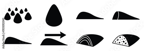 Seed to loaf process in vector illustration, life cycle germination to loaf of bread in detailed diagram