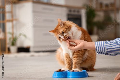 Young woman with food bowl ...