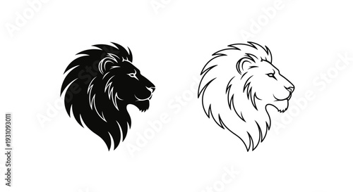 Black and white lion head illustrations with majestic mane details Vector