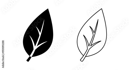 Black and white leaf illustrations with different shading techniques Vector