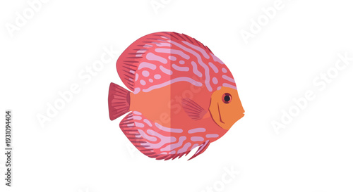 Pink Fish Marine Life.