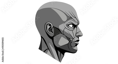 Robotic Man Face Side.