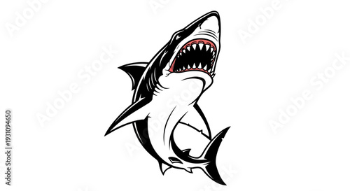 Shark Cartoon Illustration.