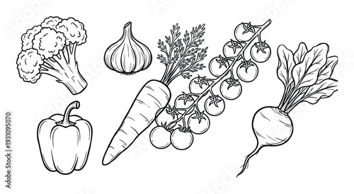 Vegetables vector illustration: broccoli, garlic, pepper, carrot, tomatoes, beet isolated