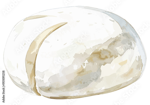 Mozzarella Cheese Elegant Watercolor Food Illustration