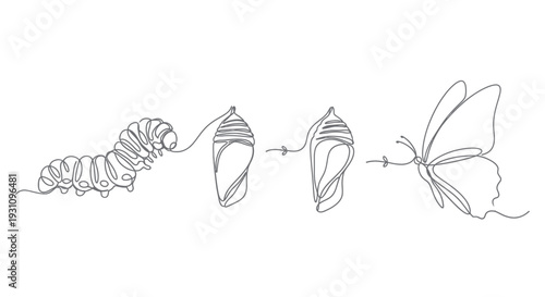 Caterpillar to Butterfly Metamorphosis Continuous Line Art