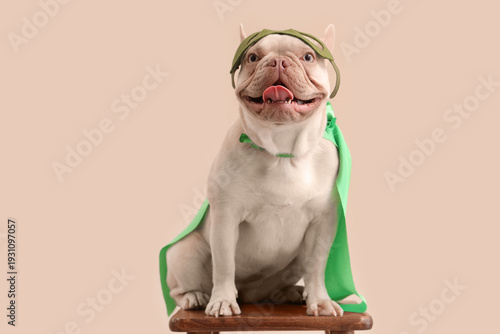 French bulldog in superhero...