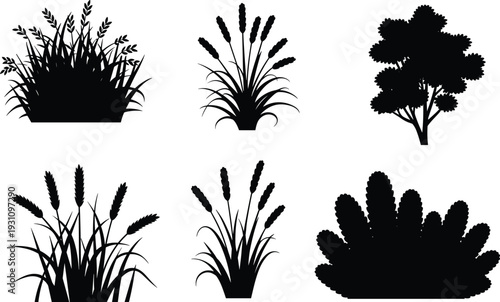 Grass, wheat and tree silhouette collection isolated on white background, detailed nature plant vector set with bushes and foliage elements