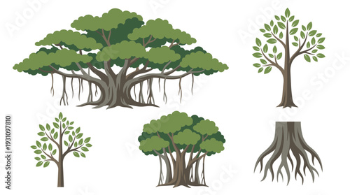 Set of banyan tree vector illustrations including saplings and root stump isolated on white background for botanical graphic design.
