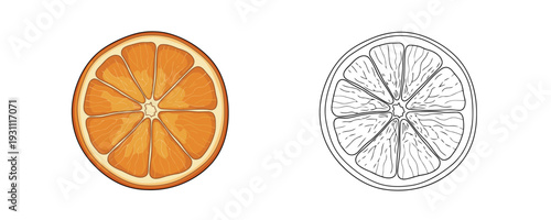 Dried orange wheel shown in colored cartoon and black outline versions using dark orange and brown tones representing a dehydrated citrus slice for decor isolated on a white background