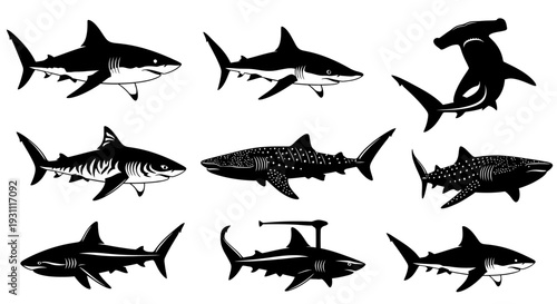 Collection of various shark and orca silhouettes in different poses and orientations
