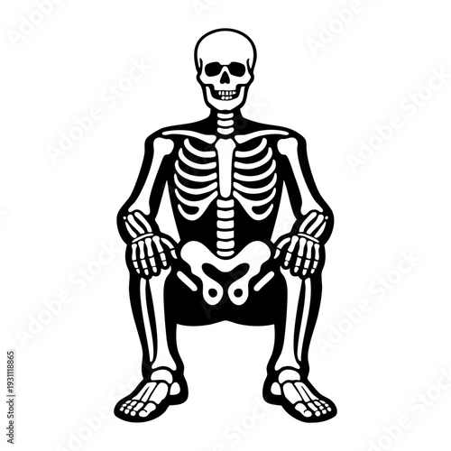 Human skeleton full body, seated neutral pose